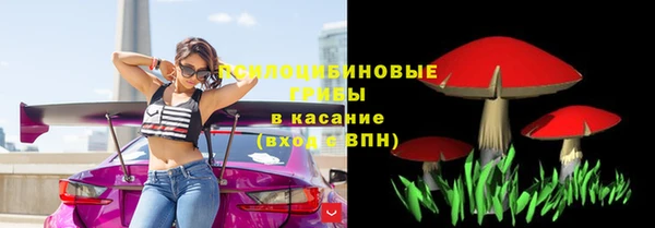 ПСИЛОЦИБИНОВЫЕ ГРИБЫ Мегион