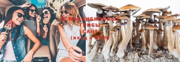 крисы Медногорск