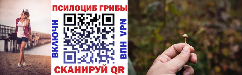 Псилоцибиновые грибы мухоморы  где можно купить наркотик  Железноводск 